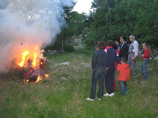 Svitnjak 2010.