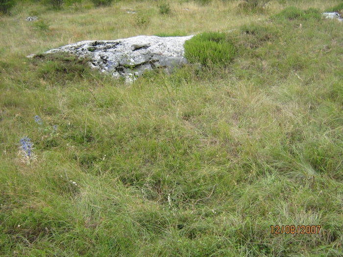 Naše znamenitosti - tragovi gromile u Jabukovcu_1