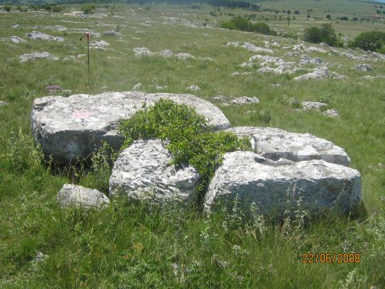 Naši mašeti (stećci)