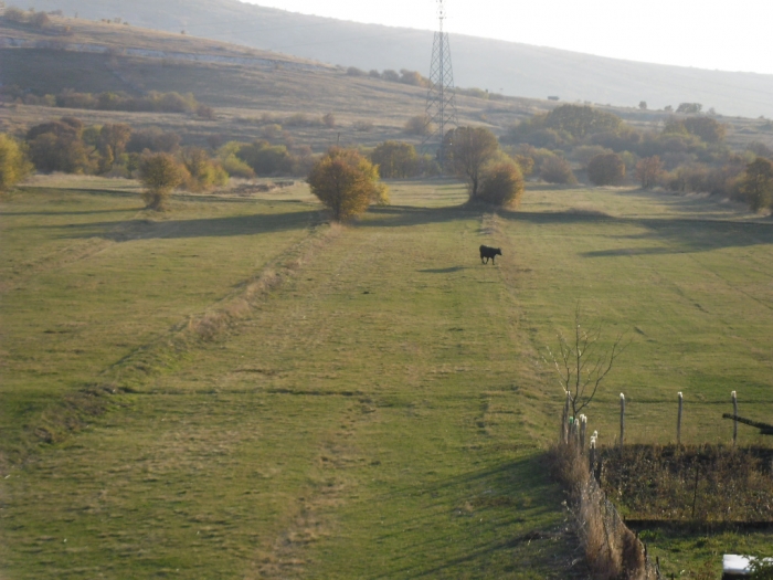 Svisveti - pogled na njive_2