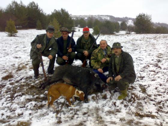 čvrsta ruka i oko sokolovo