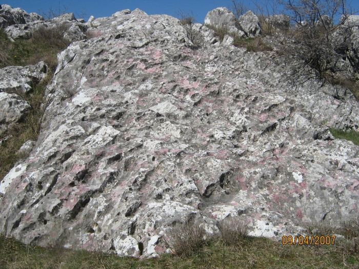 Naše znamenitosti - stina na kojoj smo pisali negdašnji grafiti_1