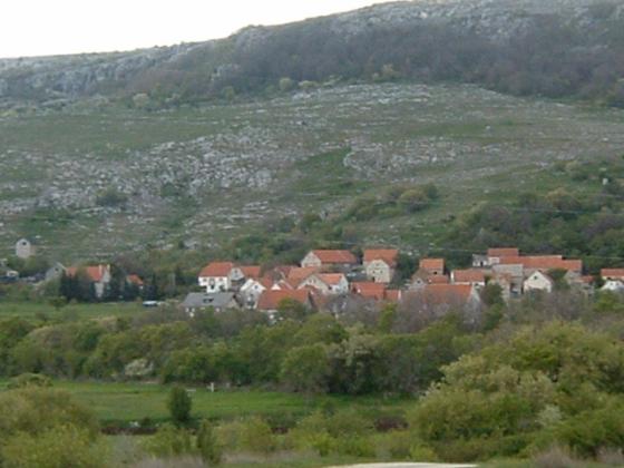 Zagoričani